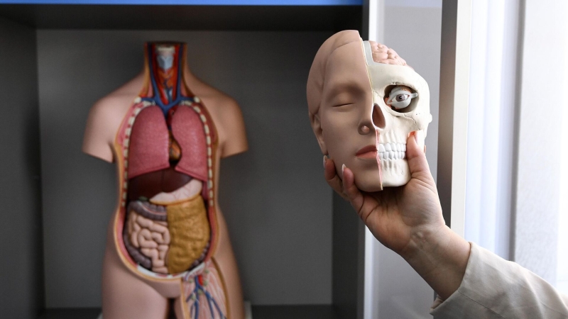 Вассерман назвал отказ от изучения теории эволюции в школах бессмысленным