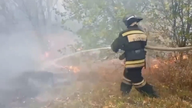 Под Саранском потушили пожар, где огонь охватил дачные дома