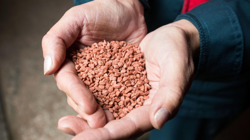 Словакия впервые стала главным покупателем российских товаров в ЕС