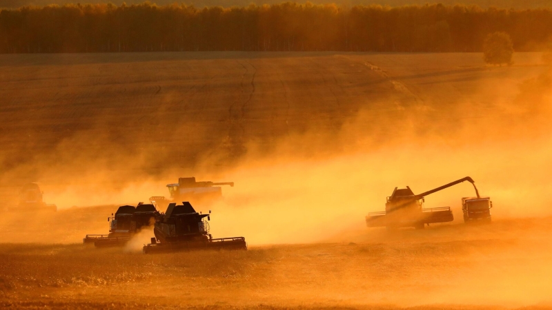 Минсельхоз не исключил введения ограничений экспорта красной икры 
