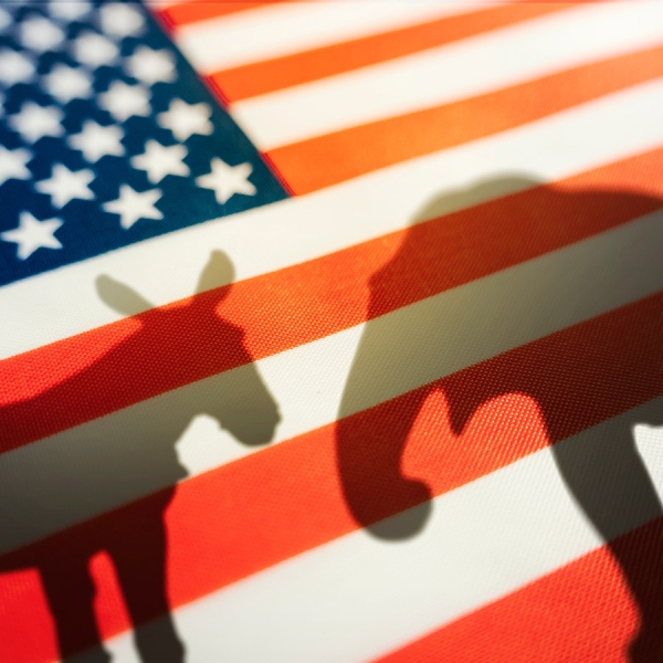 Google ответил Маску на претензию о предвзятом поиске в день выборов