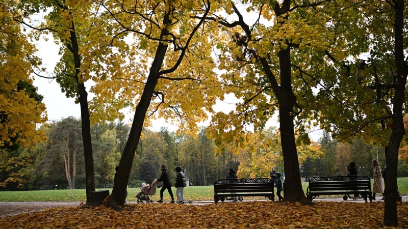 Какой сегодня праздник: что отмечают в России и в мире 2 ноября