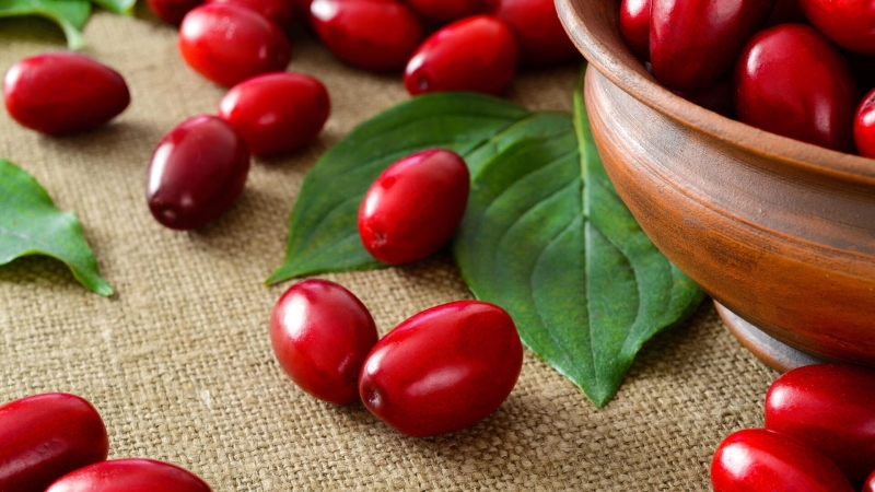 Кизил: польза и вред терпких ягод, применение в кулинарии и медицине