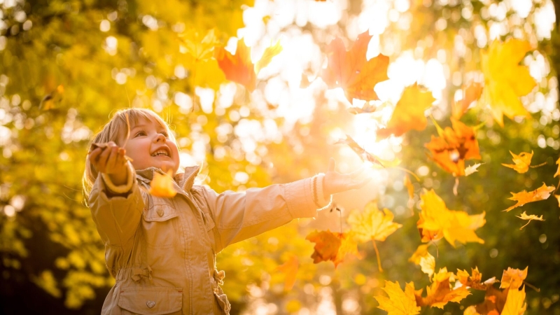 22 ноября: какой сегодня праздник, что отмечают в России и мире?