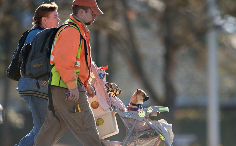 Роскомнадзор предложил критерии пропаганды чайлдфри