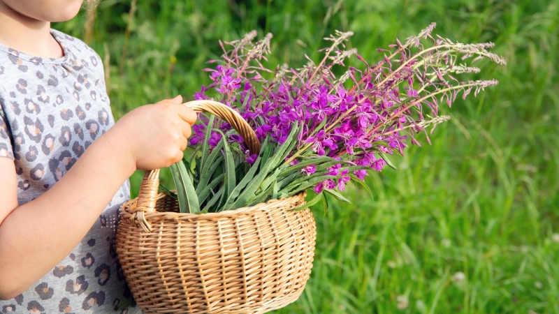 Почему лучше париться с утра и мыться без мыла: секреты русской бани