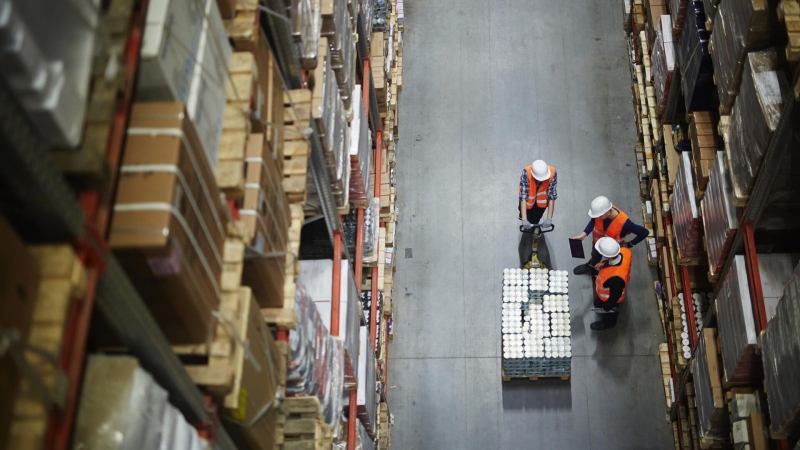 Россиянам рассказали IT-профессии будут  востребованны в 2025 году