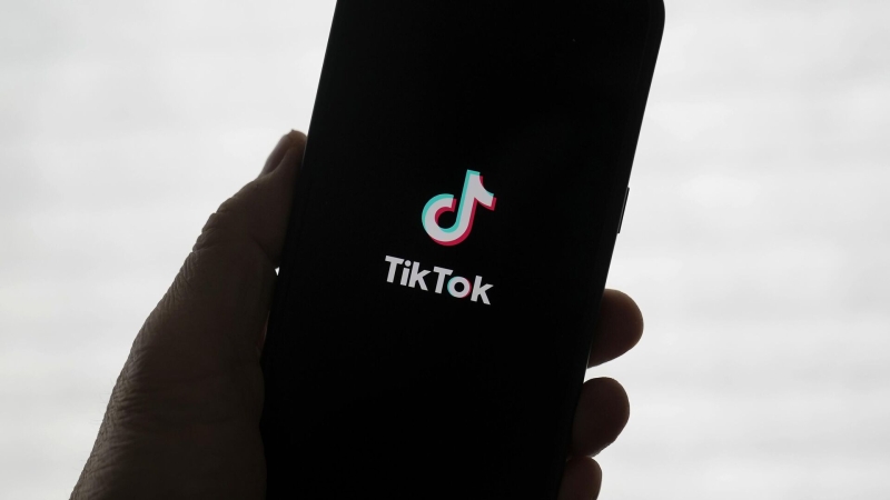 В России TikTok работает как обычно, заявили в Роскомнадзоре