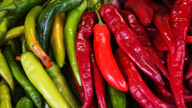 Белая, черная, красная: когда и как сажать смородину