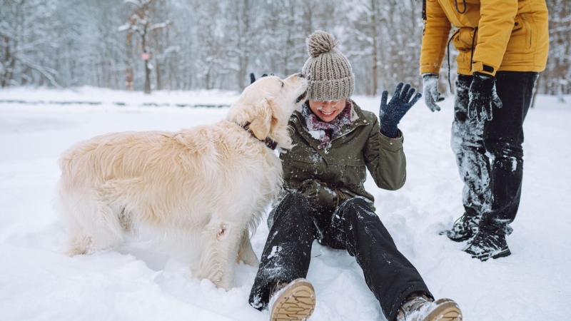 6 марта: какой сегодня праздник, что отмечают в России и мире?