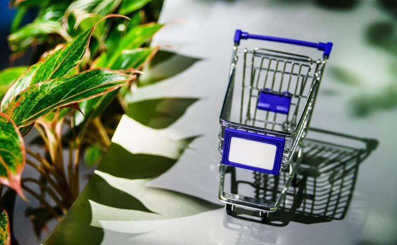 ЦБ включил «Авито» в реестр операторов финансовых платформ