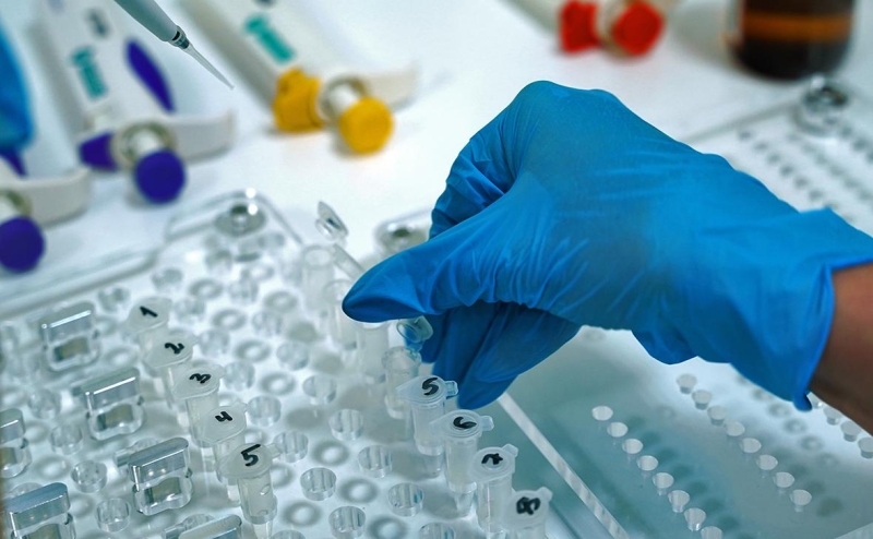 Власти раскрыли детали создания Национальной базы генетической