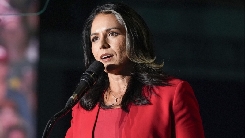 В чате Белого дома не было секретных материалов, заявила Габбард