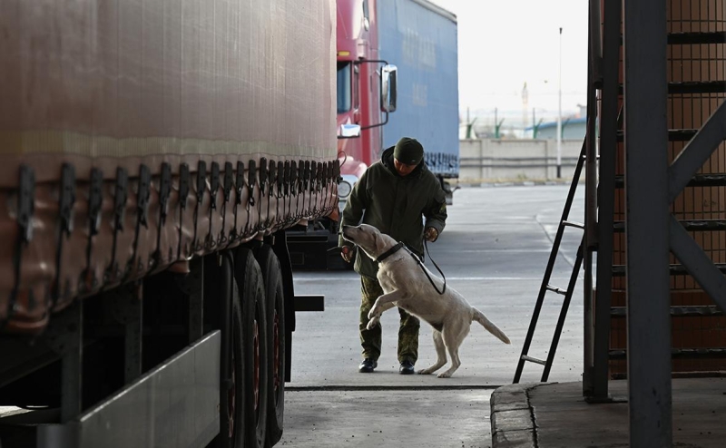 Платформа грузоперевозок «Монополия» привлечет крупного инвестора