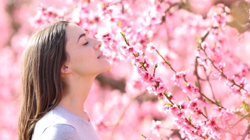 19 апреля: какой сегодня праздник, что отмечают в России и мире?