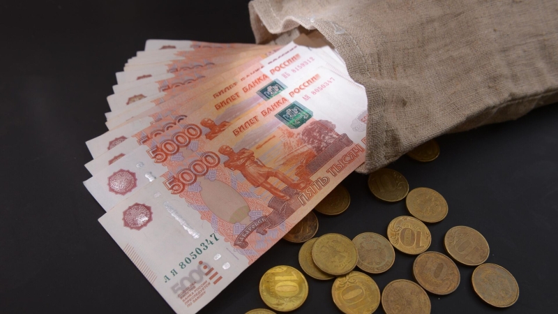 Исследование показало рост предлагаемой зарплаты для соискателей в России