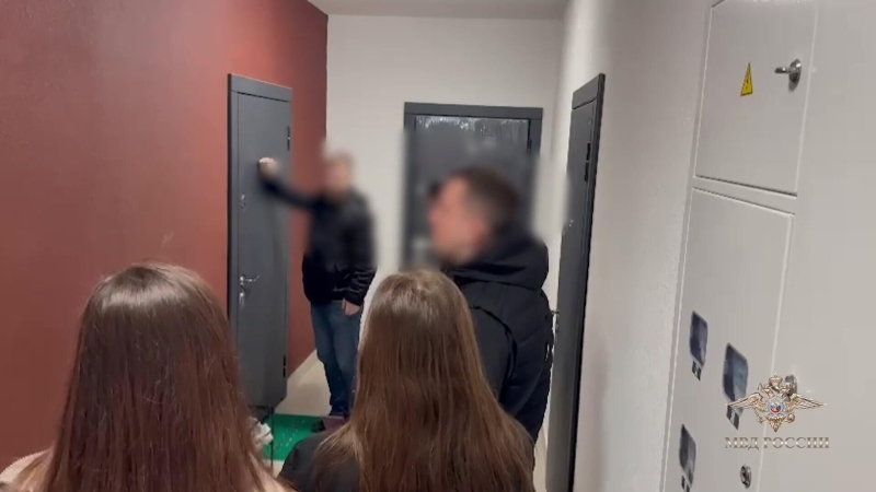 МВД назвало лотереи одной из самых популярных схем мошенничества