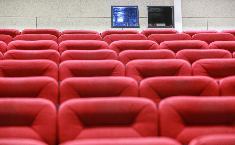 Минкульт ответил на данные о блокировке «Гарри Поттера» из-за чайлдфри