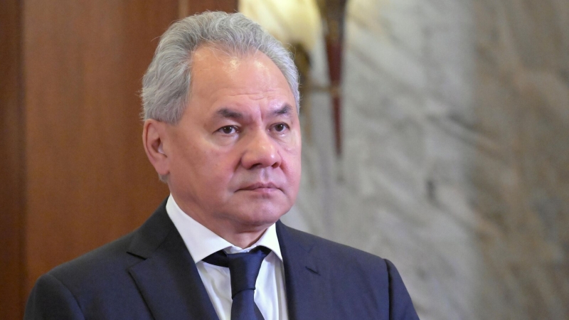 Шойгу призвал не допустить политизации Интерпола Западом