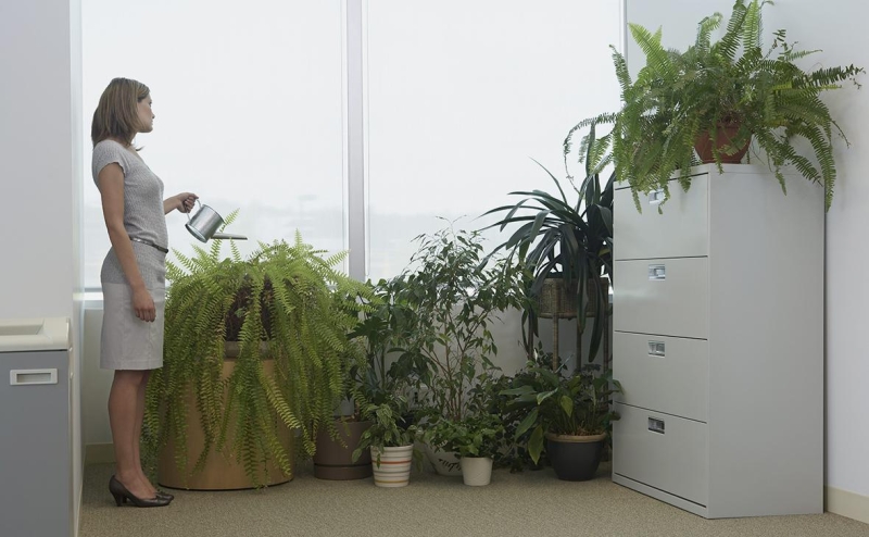 РКН увидел резкий рост числа компаний, работающих с персональными