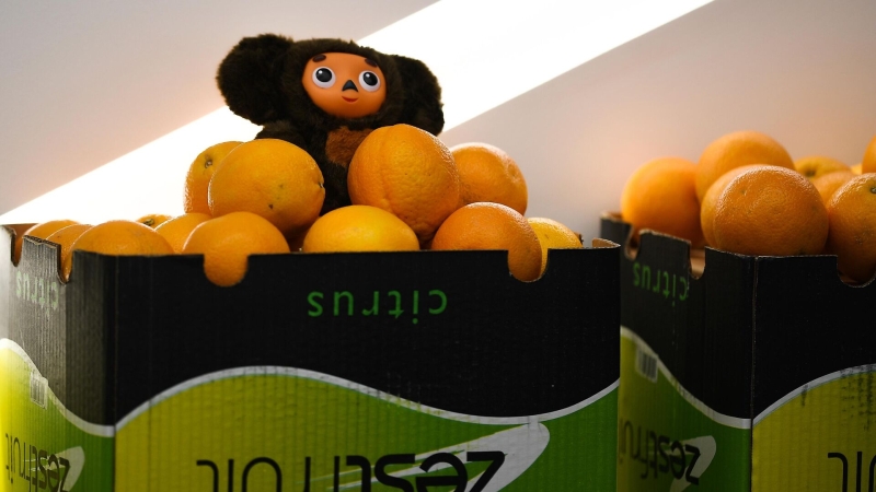 В России растет интерес к игрушкам персонажей российских мультфильмов