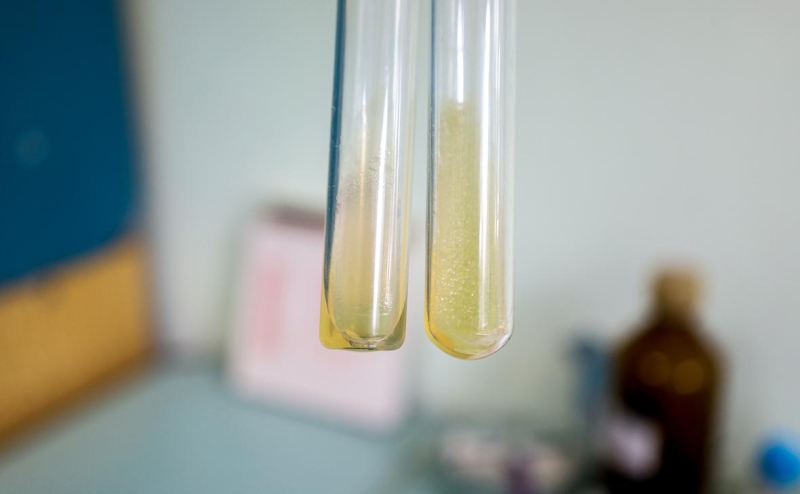 Минприроды предложило в разы увеличить экологический сбор