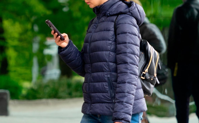 Путин поручил перевести госуслуги в российский мессенджер