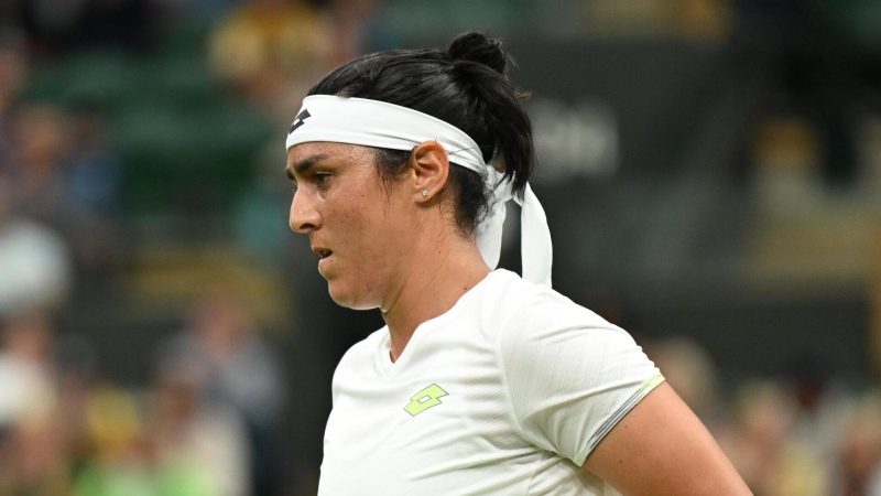 Калинская поднялась на 27 позиций в чемпионской гонке WTA 