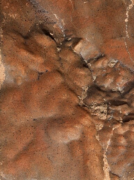 В США кусок Марса продали на аукционе за $5,3 млн