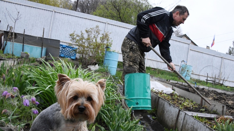 День дачника 2025: какого числа, история и традиции праздника