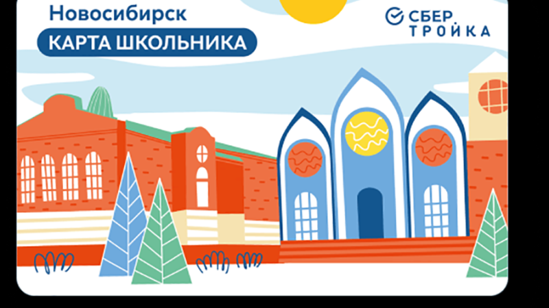 Карта школьника: зачем нужна, как оформить и получить