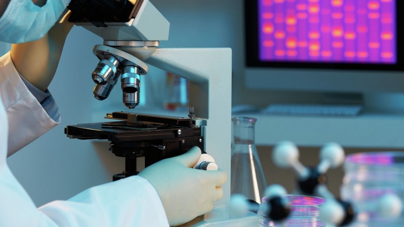 В Новосибирске студентка создала приложение для анализа тибетских текстов