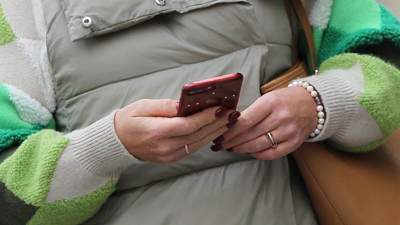 В Госдуме оценили риски масштабной кибератаки через WhatsApp