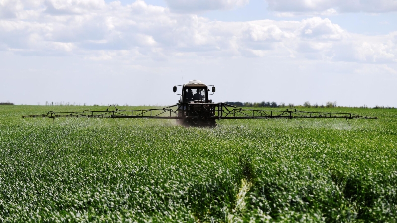 Челябинская область будет активно внедрять технологии ИИ