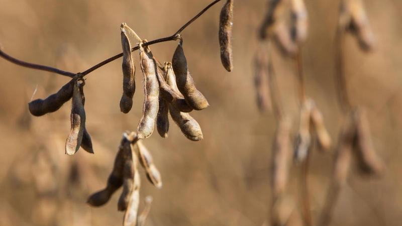 США впервые за полтора года купили у России цирконий