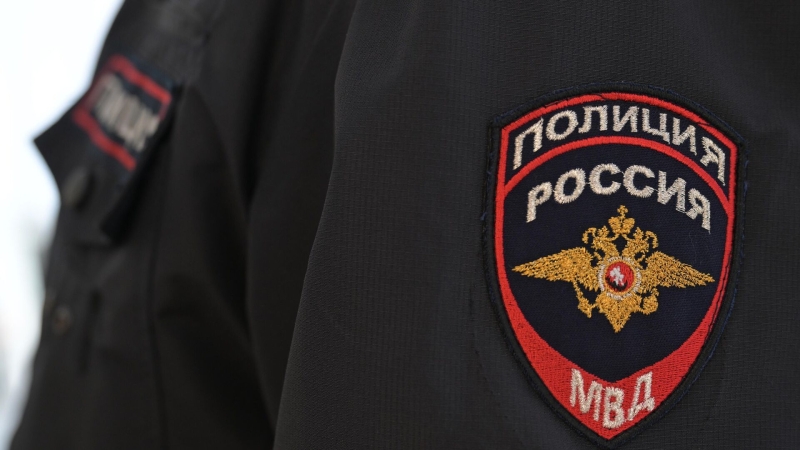 МВД предупредило о новом способе мошенничества с электронным дневником