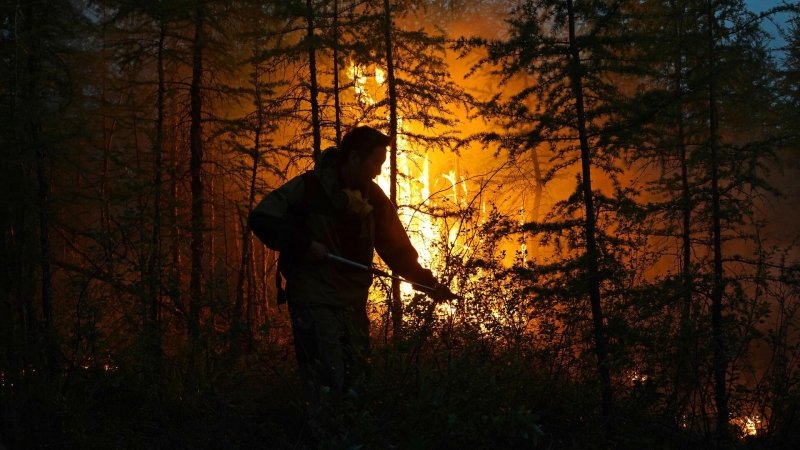 В районе Генуэзской крепости на юго-востоке Крыма локализовали пожар