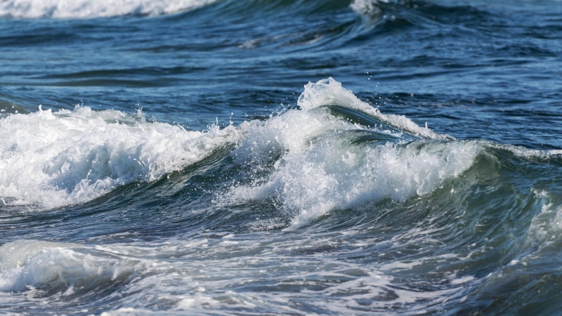 На Камчатке за сутки зафиксировали более 20 афтершоков
