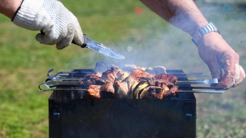 Где пожарить шашлык в 2025 году: лучшие места Москвы, правила и запреты