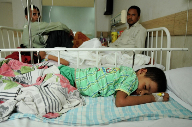 Лихорадка чикунгунья: симптомы, насколько опасна и лечение в 2025 году