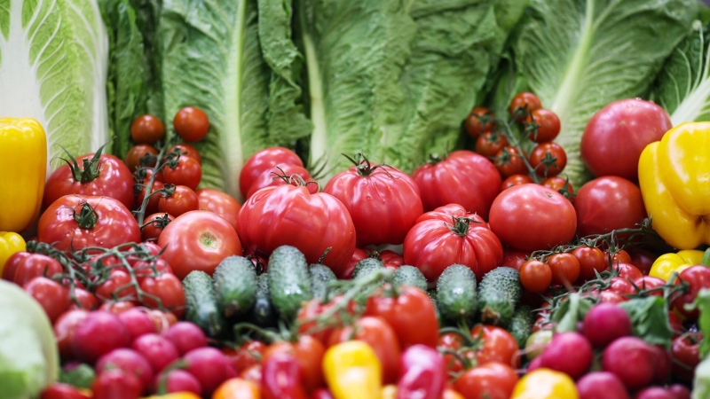 Нижегородцы заняли первое место по числу медалей агропромышленной выставки