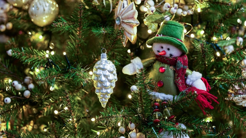 Исследование показало, куда россияне планируют поехать на Новый год