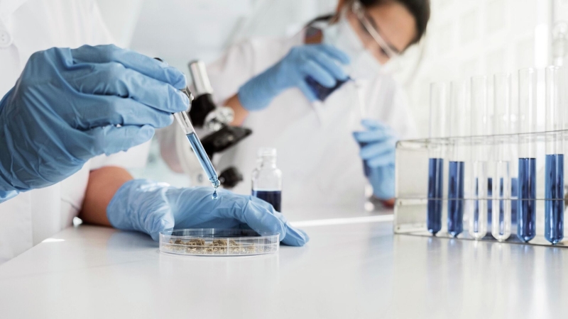 В России создали первый в мире быстрый тест для диагностики гепатита С