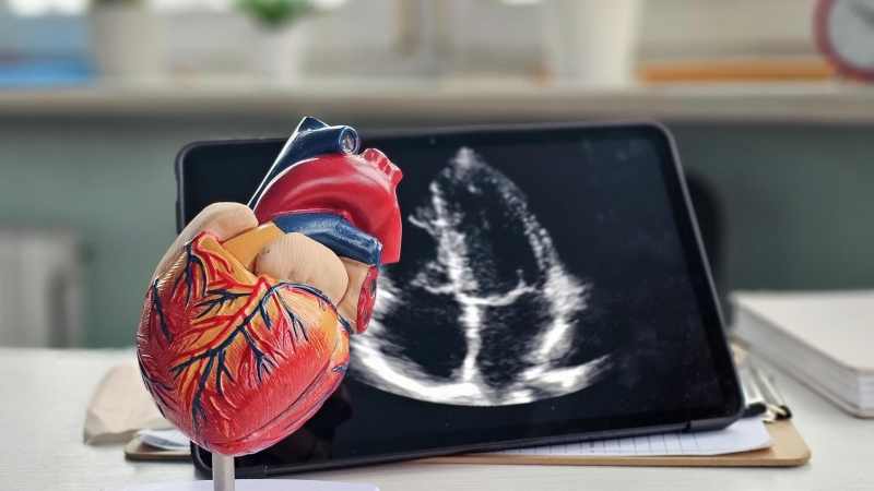 Мишустин прокомментировал идею использовать ИИ в образовании