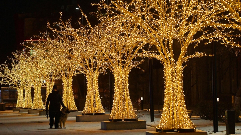 Исследование показало, куда россияне планируют поехать на Новый год