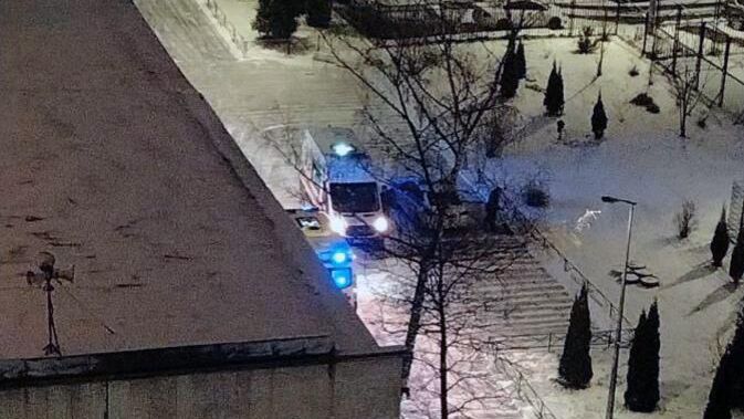 Школы Петербурга усилят контроль за безопасностью после нападения