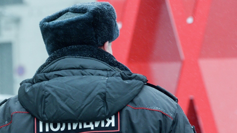 МВД предупредило о мошенниках, выдающих себя за Социальный фонд