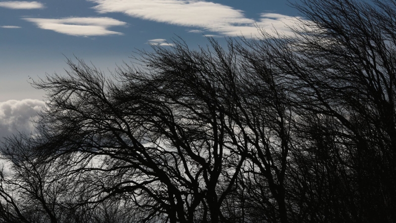 В Чечне объявили штормовое предупреждение