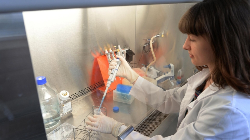 Названы самые перспективные профессии в 2026 году