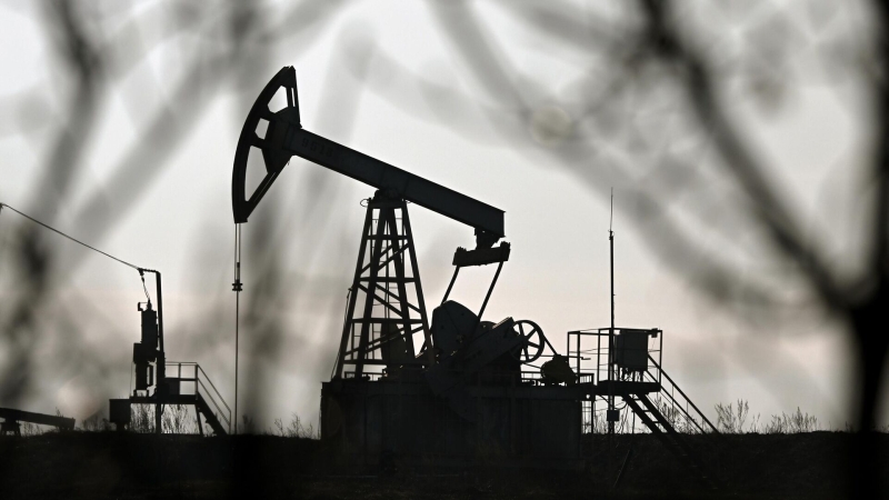 Глава Роснедр рассказал о приросте запасов нефти в России